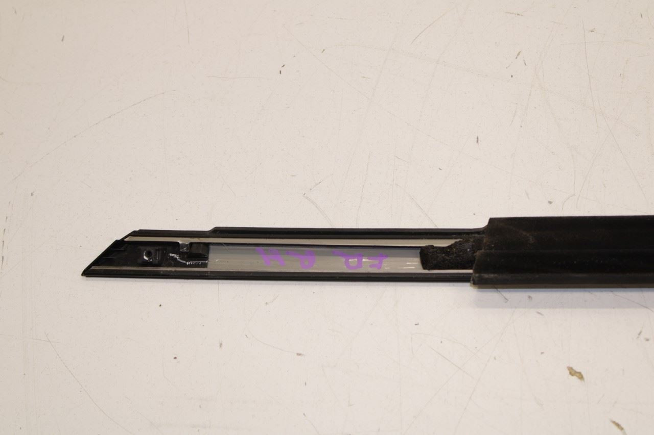 11-23 Dodge Charger GT AWD Front Right Door Run Channel with Belt Weatherstrips - Alshned Auto Parts