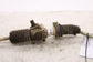 2015-2019 Arctic Cat Wildcat Sport 700 Steering Gear Rack and Pinion 0505-8942