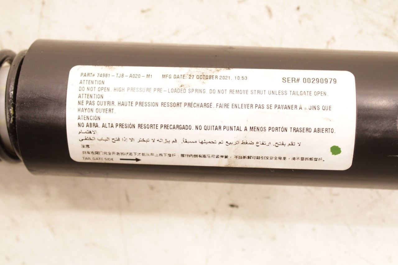 19-25 Acura RDX SH-AWD Rear Right and Left Liftgate Power Lift Strut Set of 2 - Alshned Auto Parts