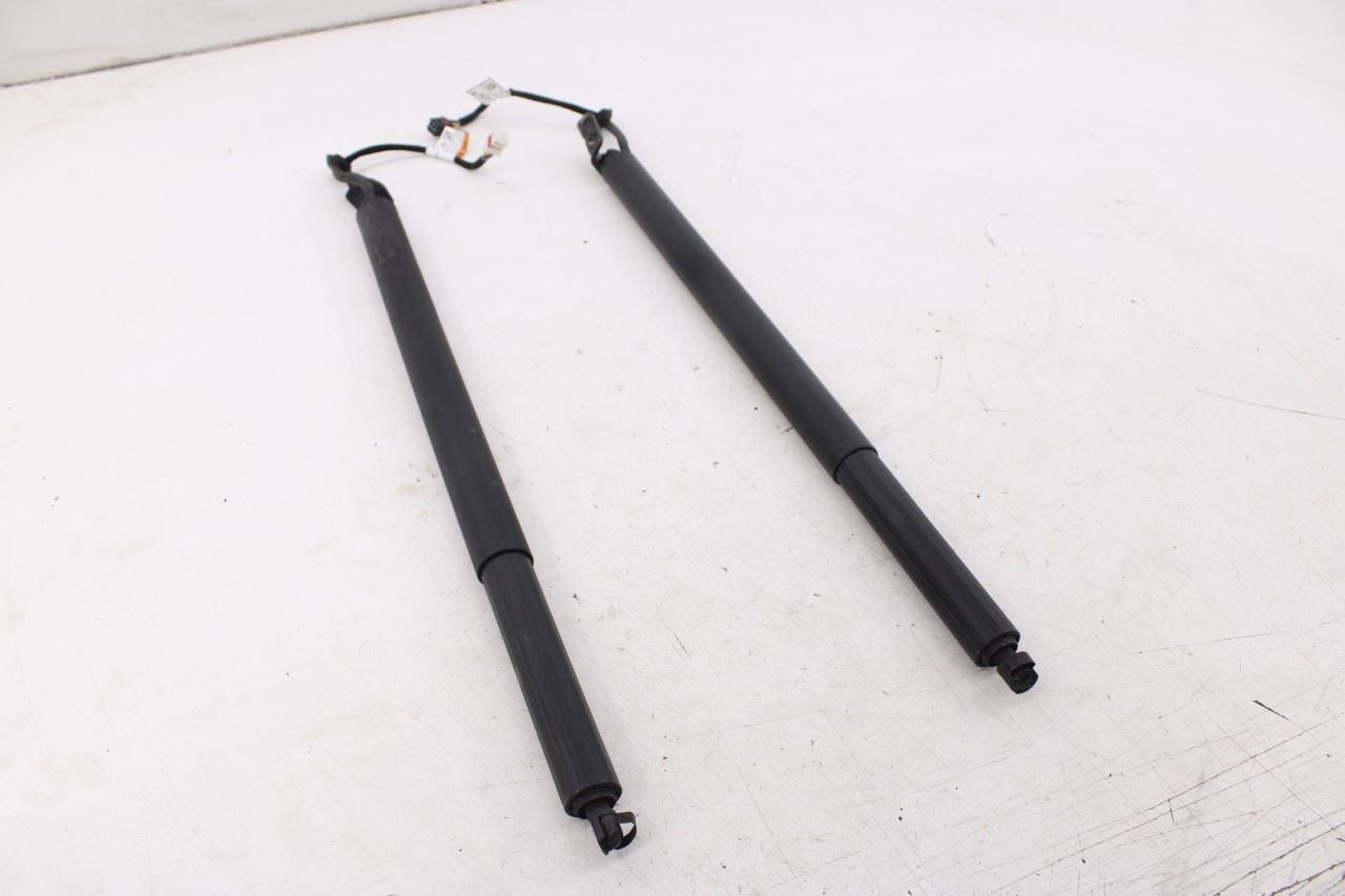 20-22 Hyundai Palisade Limited RR RH and LH Liftgate Lift Cylinder Strut *ReaD*2