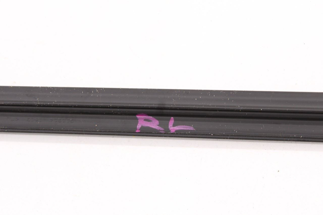 19-20 Hyundai Santa Fe SEL Rear Left Door Run Channel w/ Belt Inner Weatherstrip - Alshned Auto Parts