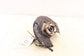 2014-2020 Lincoln MKZ Reserve Rear Right Passenger Side Spindle Knuckle Hub - Alshned Auto Parts