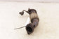16-20 Hyundai Elantra Value Edition 2.0L Front Exhaust Muffler Pipe 28610-F2400 - Alshned Auto Parts