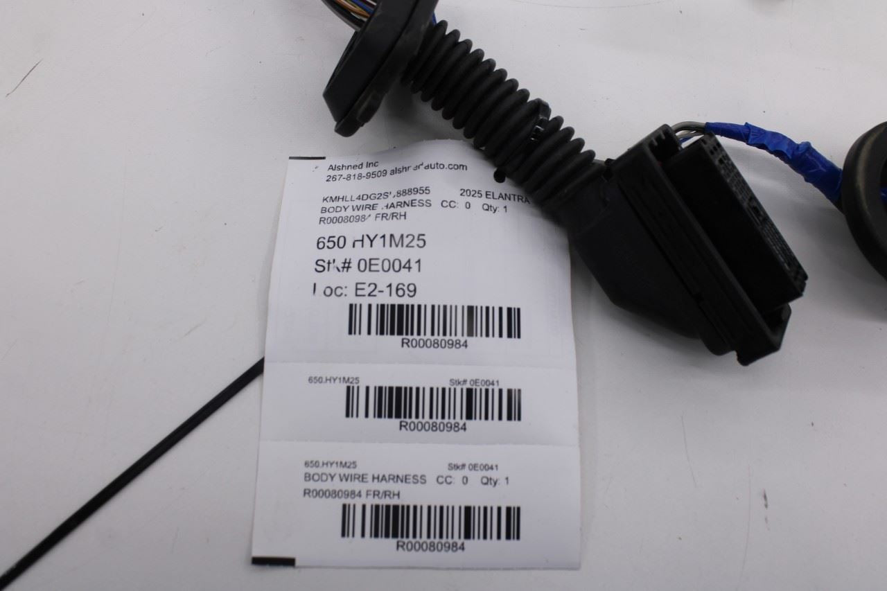 2024-2025 Hyundai Elantra SE Front Right Side Door Wire Harness 916L0-AA350 OEM14