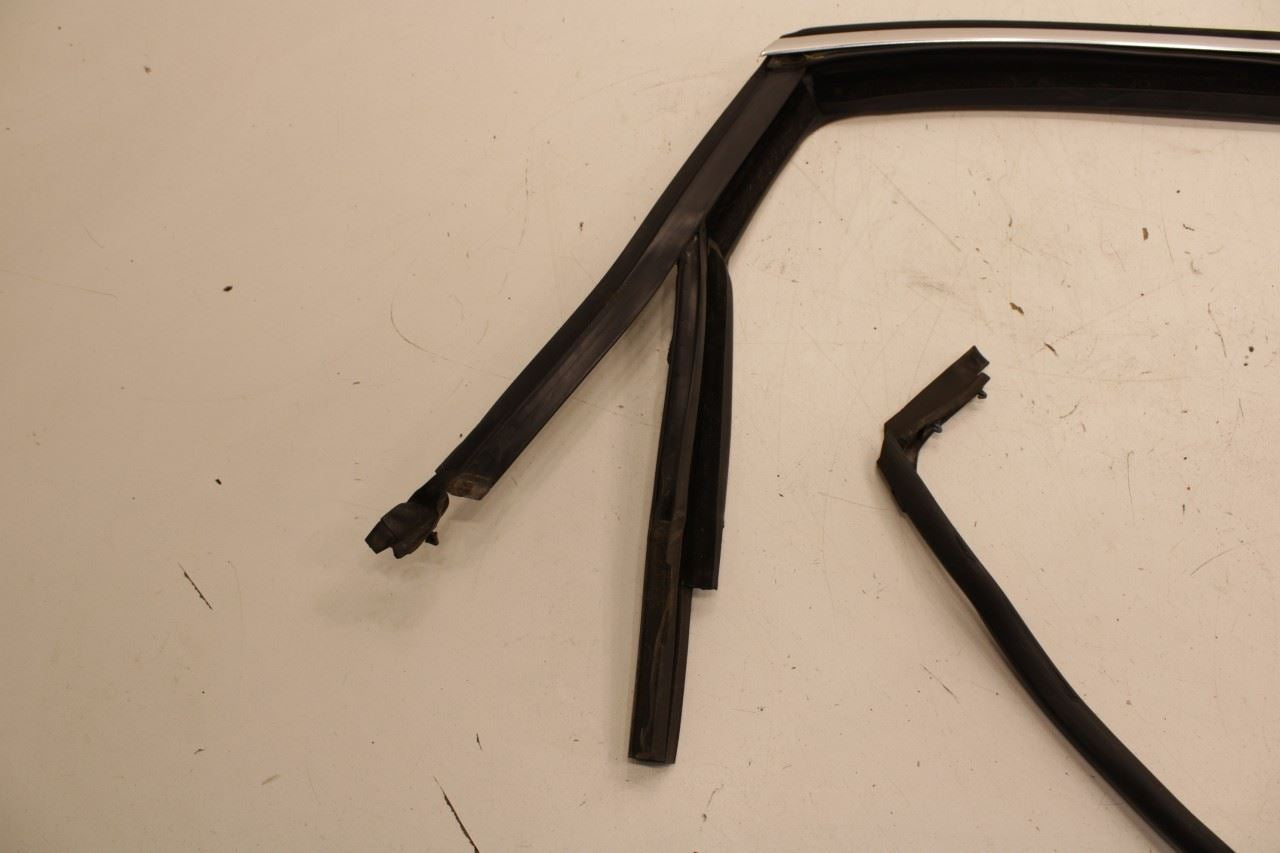 2012-2019 Volkswagen Passat SE Rear Right Door Run Channel w/ Belt Weatherstrips - Alshned Auto Parts