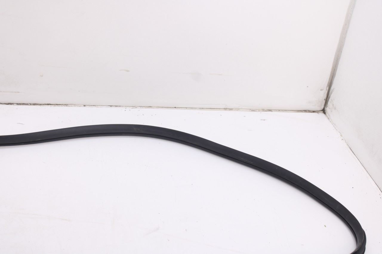 2020-2026 Hyundai Palisade Limited AWD Front Right Door Weatherstrip On Body5