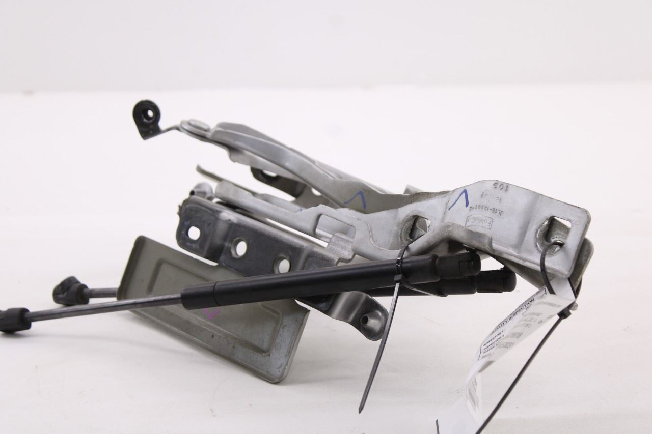 18-24 Ford Expedition Limited Front Right and Left Hood Hinge Set w/ Lift Struts - Alshned Auto Parts
