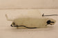 2012-2020 ISUZU NPR HD Windshield Washer Reservoir Fluid Tank 8-98029-138-2 OEM - Alshned Auto Parts