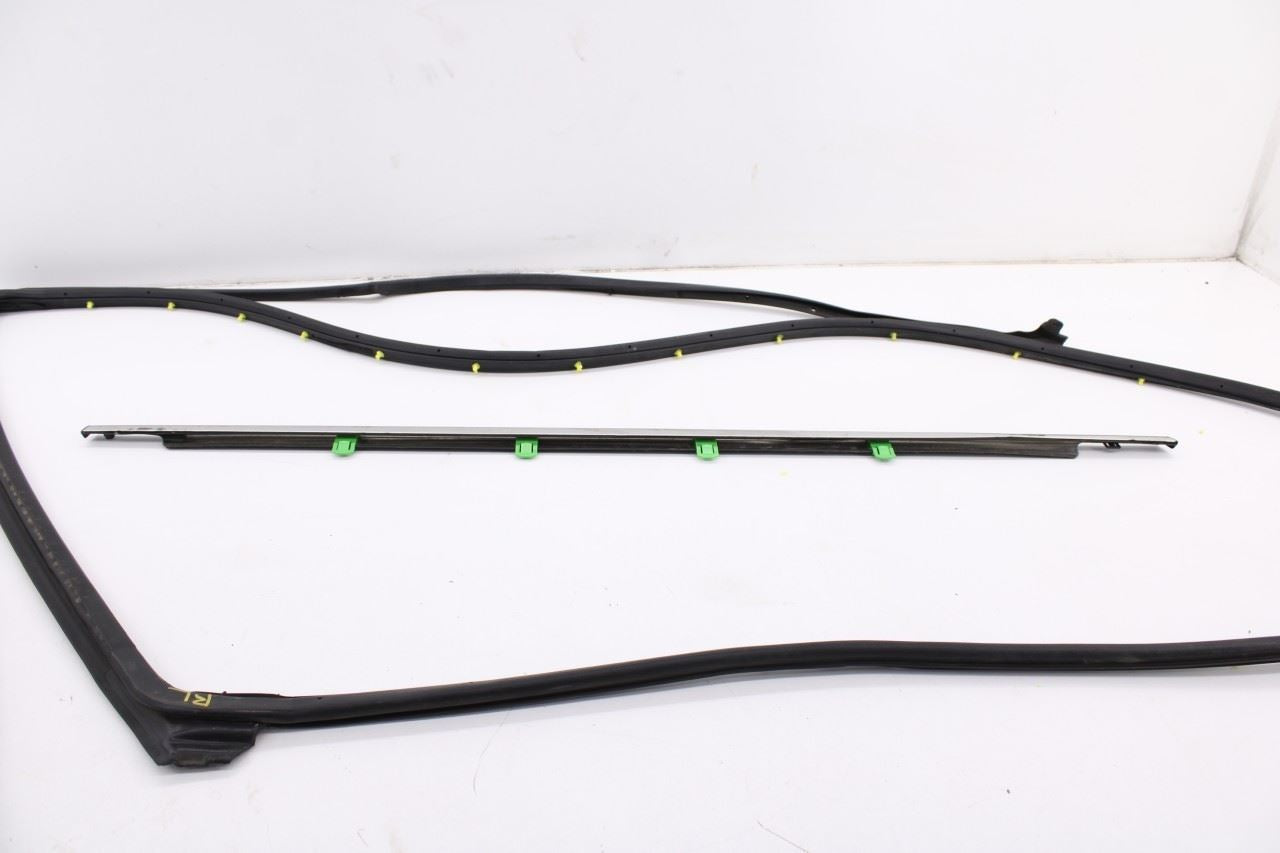 14-20 Acura MDX w/Technology Pkg Rear Left Door Run Channel w/ Weatherstrip Set - Alshned Auto Parts