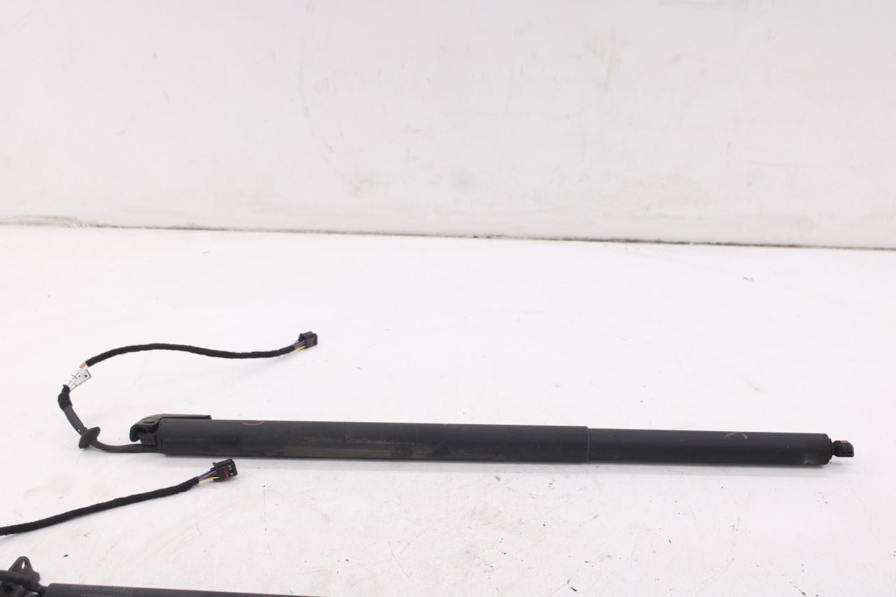 2019-25 Infiniti QX50 ESSENTIAL Rear Right and Left Liftgate Lift Cylinder Strut - Alshned Auto Parts