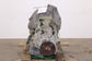 2008-10 Ford Mustang Conv V6 4.0L SOHC 5-Spd Auto Transmission 126K 9R3Z-7000-B7