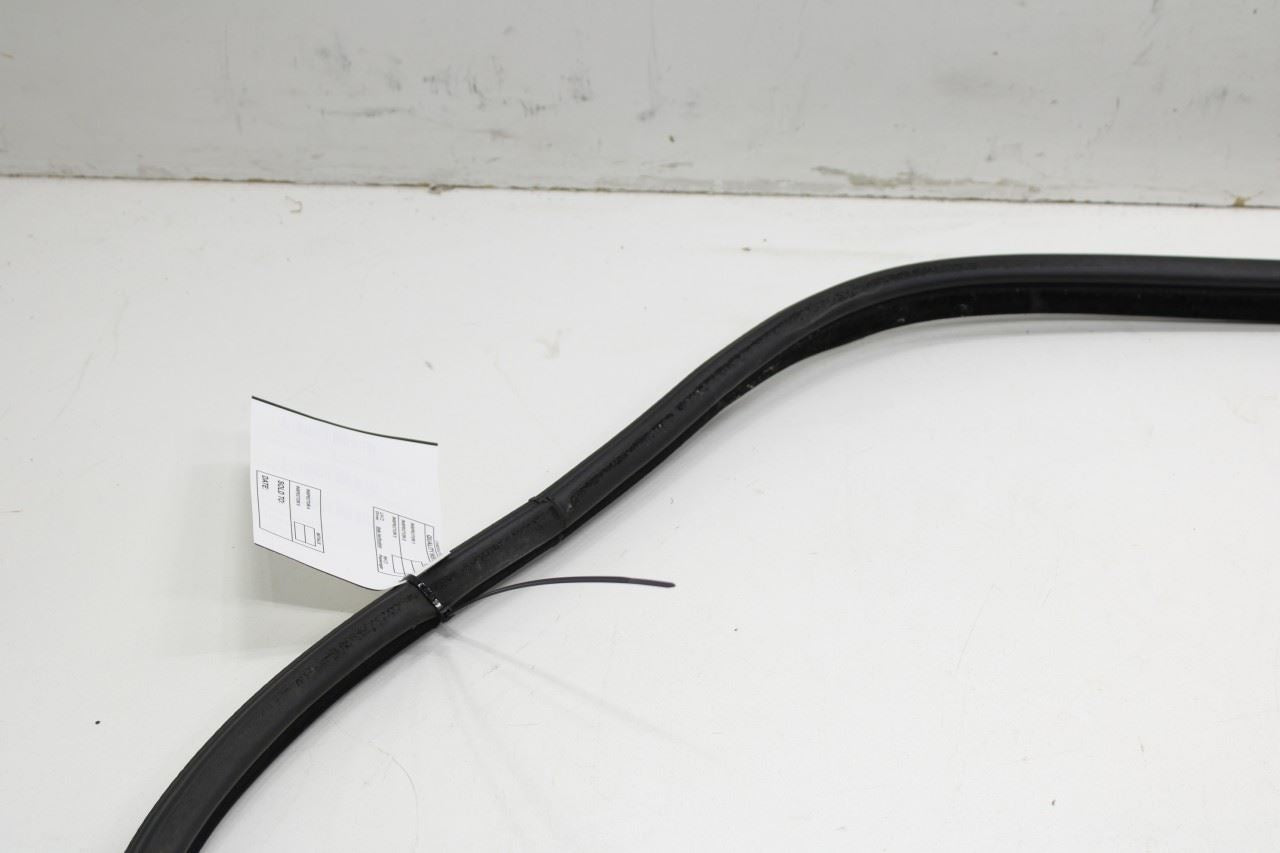 2014-2018 BMW X5 xDrive35i Rear Left Door Weathestrip On Body 51727289689 OEM - Alshned Auto Parts