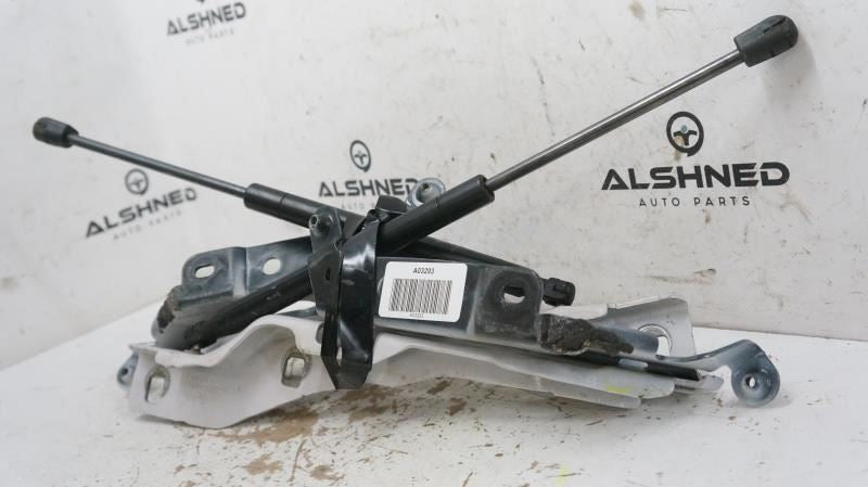15-20 Ford F150 Front Left and Right Hood Hinge w/ Lift Gas Struts FL3Z-16797-B7