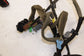 2015-2016 Volvo S60 T5 Premier Rear Left Driver Side Door Wire Harness 31275439 - Alshned Auto Parts