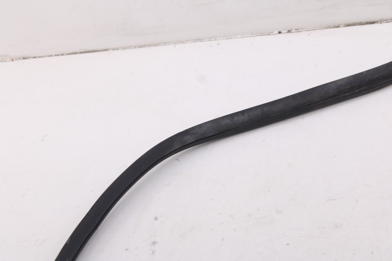 2020-2026 Hyundai Palisade Limited AWD Front Left Side Door Weatherstrip On Body4
