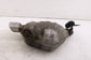 2013-2021 Jeep Grand Cherokee Laredo X 4x4 3.6L Rear Exhaust System Muffler - Alshned Auto Parts