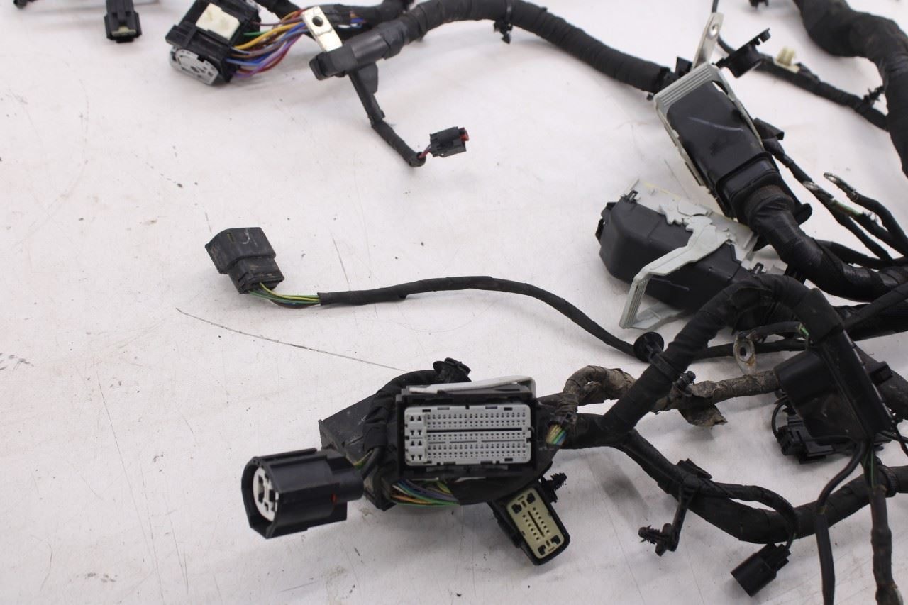 2024 Ford Escape ST 1.5L 2WD Engine Wire Wiring Harness RZ1T-14290-KN OEM - Alshned Auto Parts
