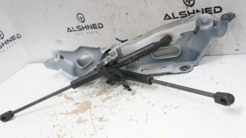 15-20 Ford F150 Front Left and Right Hood Hinge w/ Lift Gas Struts FL3Z-16797-B5