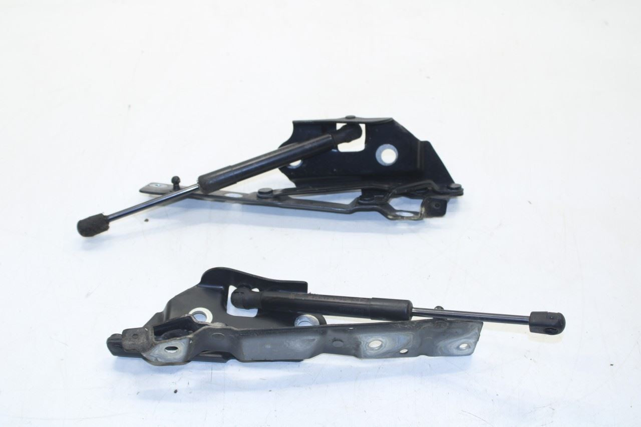 11-23 Dodge Challenger SXT RR RH and LH Trunk Deck Lid Hinge Set w/ Lift Struts - Alshned Auto Parts
