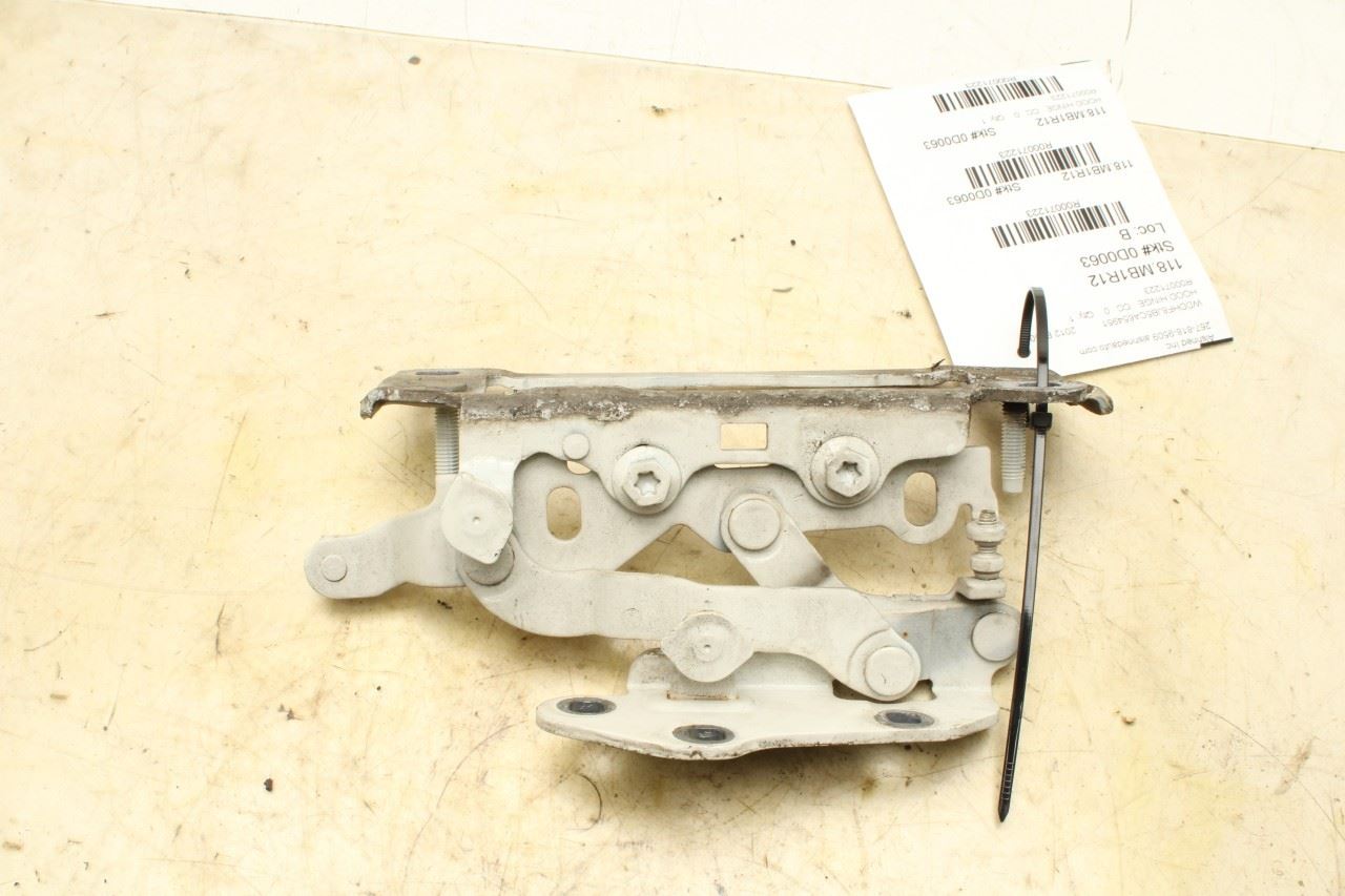 10-16 Mercedes-Benz E350 Sport 4MATIC FR RH and LH Hood Hinge Set w/ Hinge Cover - Alshned Auto Parts