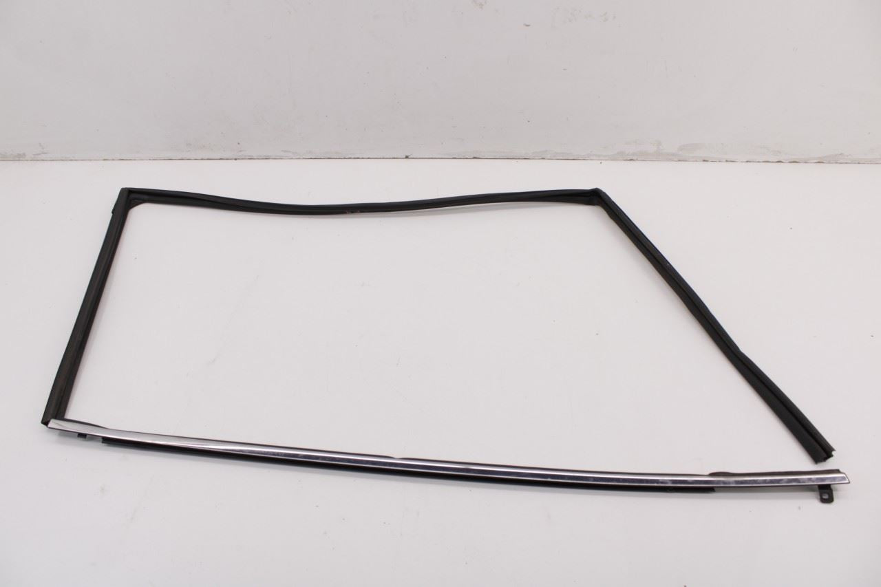 2016-2019 Nissan Sentra SL Front Right Door Run Channel with Belt Outer Molding - Alshned Auto Parts