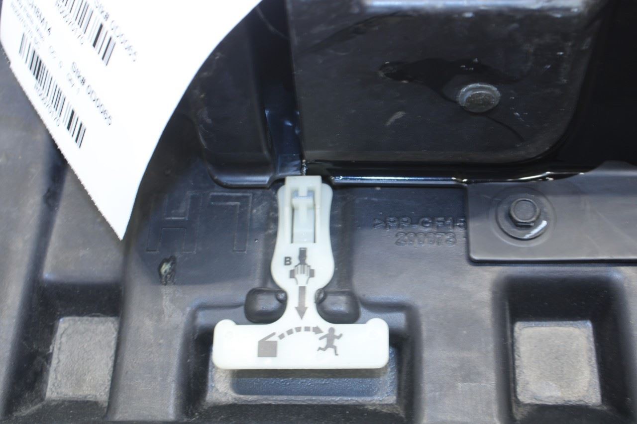 2013-2018 Ram 1500 Crew Cab Laramie Rear Left Rambox Storage Bin Door 68206699AA - Alshned Auto Parts