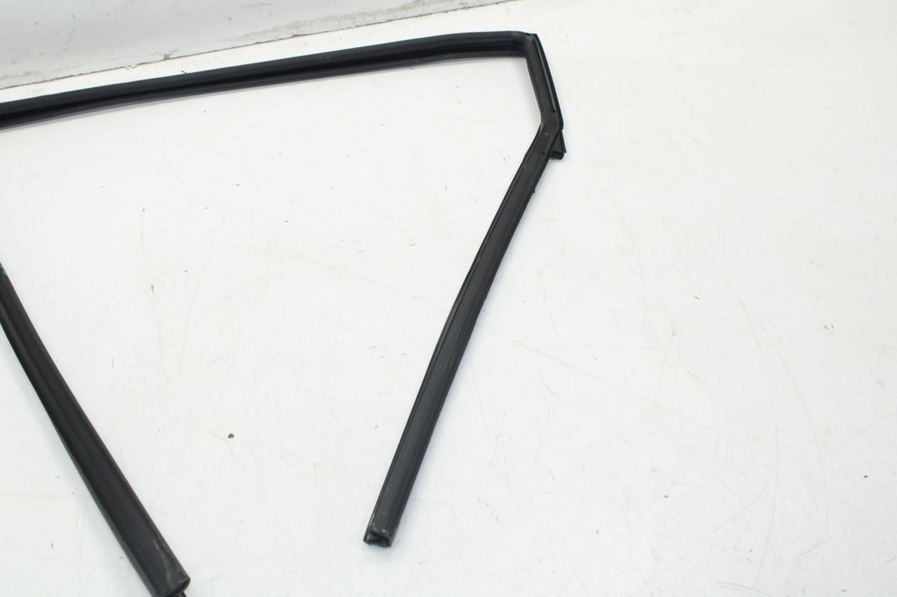 2015-2019 Nissan Murano Rear Right Door Window Run Channel w/ Belt Seal Molding - Alshned Auto Parts