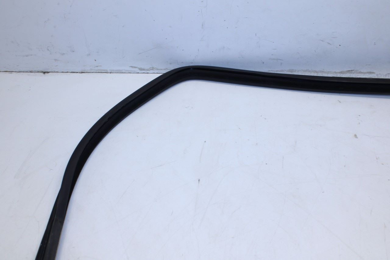 99-16 Ford F250 Lariat Crew Cab Rear Right Door Run Channel w/ Weatherstrip Set - Alshned Auto Parts