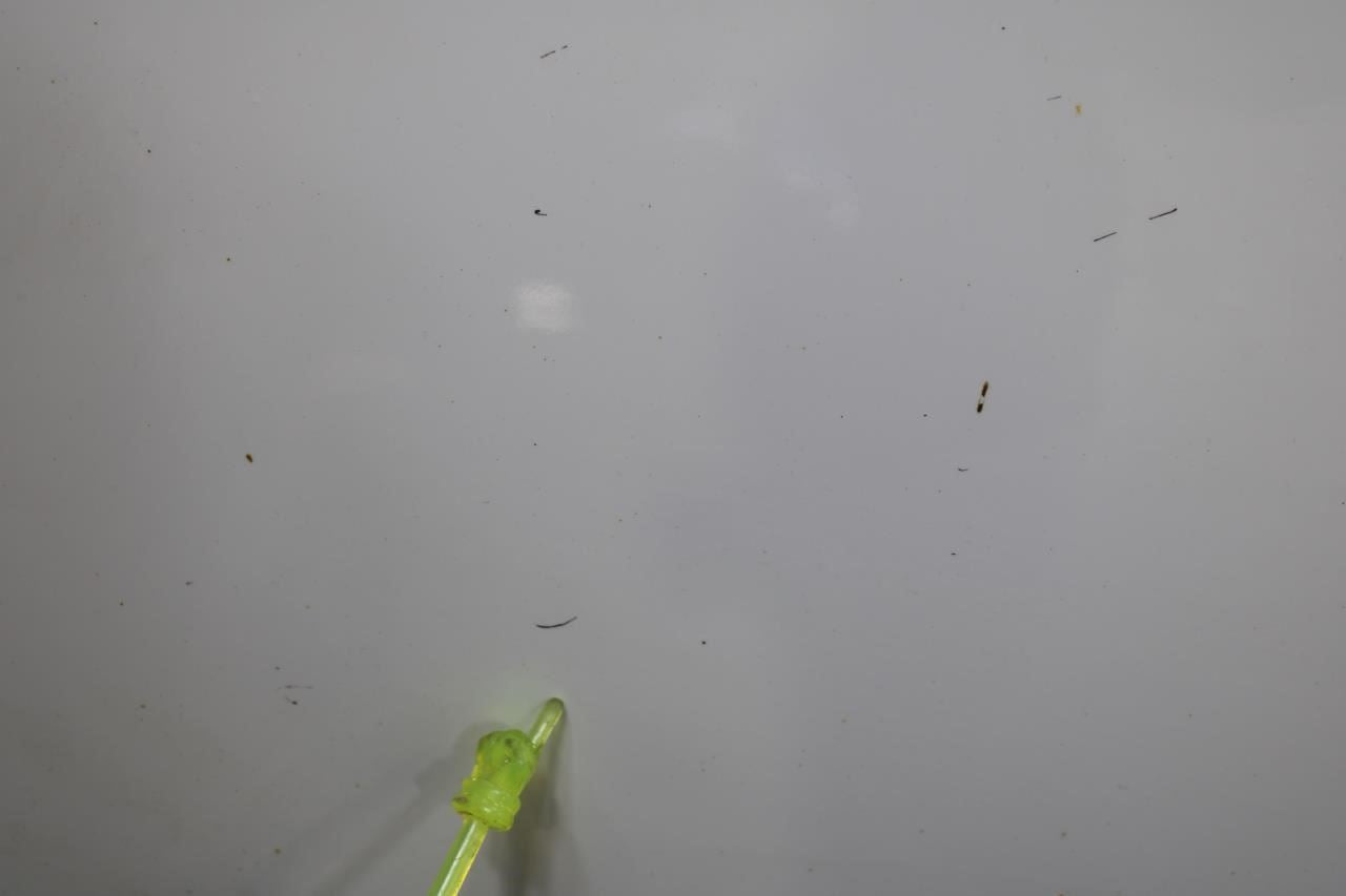 2017-2023 GMC Acadia SLT-1 Front Left Driver Side Door Shell Panel 84542292 OEM - Alshned Auto Parts