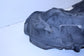 17-20 Acura MDX Advance Rear Right Wheelhouse Liner Splash Shield 74551-TZ5-A20 - Alshned Auto Parts
