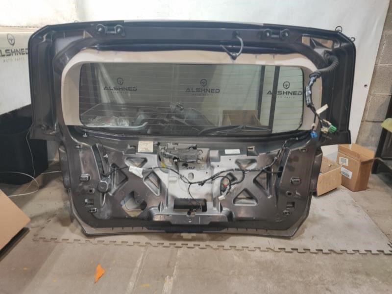2009-2020 Dodge Journey Rear Back Liftgate Door 1CZ91LAUAH OEM - Alshned Auto Parts