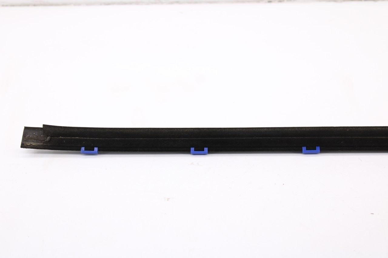 2015-20 Acura TLX Tech Rear Left Driver Side Door Belt Outer Molding 72950TZ3A019