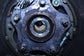 2008-2019 Nissan Murano Platinum Rear Right Side Spindle Knuckle Hub 43018-1AA0A - Alshned Auto Parts