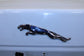 2012-2015 Jaguar XF Trunk Deck Lid Shell Panel C2Z14453 OEM - Alshned Auto Parts