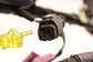 2018-21 Ford Ecosport SE 1.0L FWD Engine Wire Harness GN15-12C508-FD OEM *ReaD* - Alshned Auto Parts