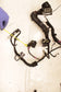 2018-21 Ford Ecosport SE 1.0L FWD Engine Wire Harness GN15-12C508-FD OEM *ReaD* - Alshned Auto Parts
