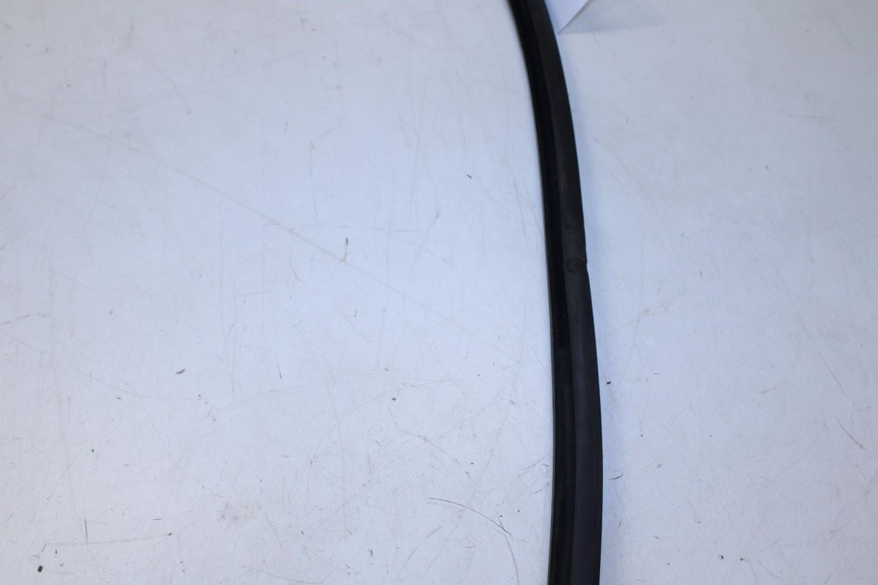 99-16 Ford F250 Lariat Crew Cab Rear Right Door Run Channel w/ Weatherstrip Set - Alshned Auto Parts