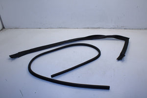 2008-2023 Dodge Challenger Front Left Door Run Channel w/ Weatherstrip On Body