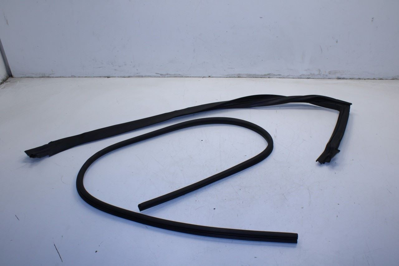 2008-2023 Dodge Challenger Front Left Door Run Channel w/ Weatherstrip On Body - Alshned Auto Parts
