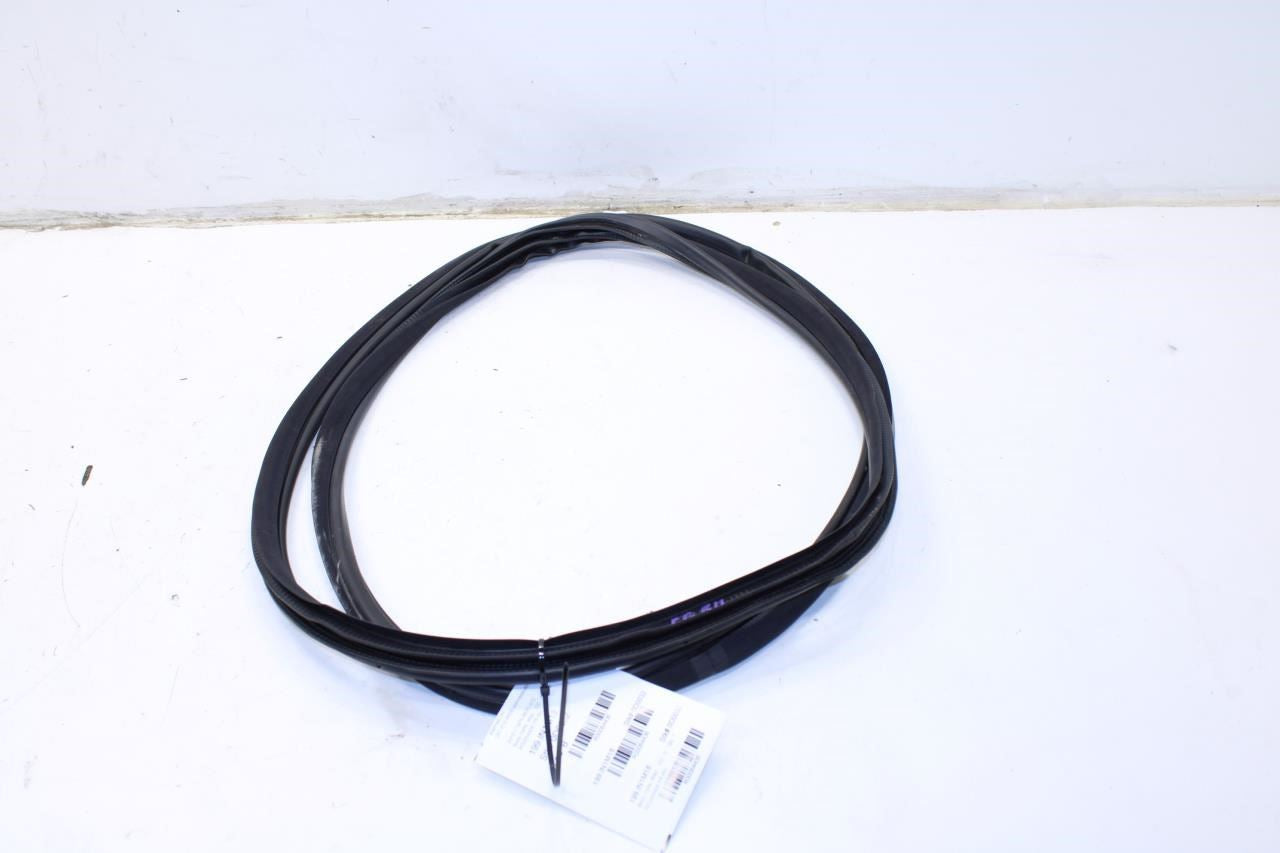 2014-23 Infiniti Q50 Luxe RWD Front Right Door Weatherstrip On Body 76921-4GA0A - Alshned Auto Parts