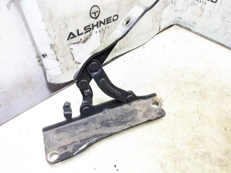 2016-20 Kia Optima FR RH and LH Hood Struts Shock Lift Cylinder 81161-D4001 OEM - Alshned Auto Parts