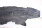 15-23 Ford Mustang Conv V6 Rear Left Driver Side Wheelhouse Liner Splash Shield10