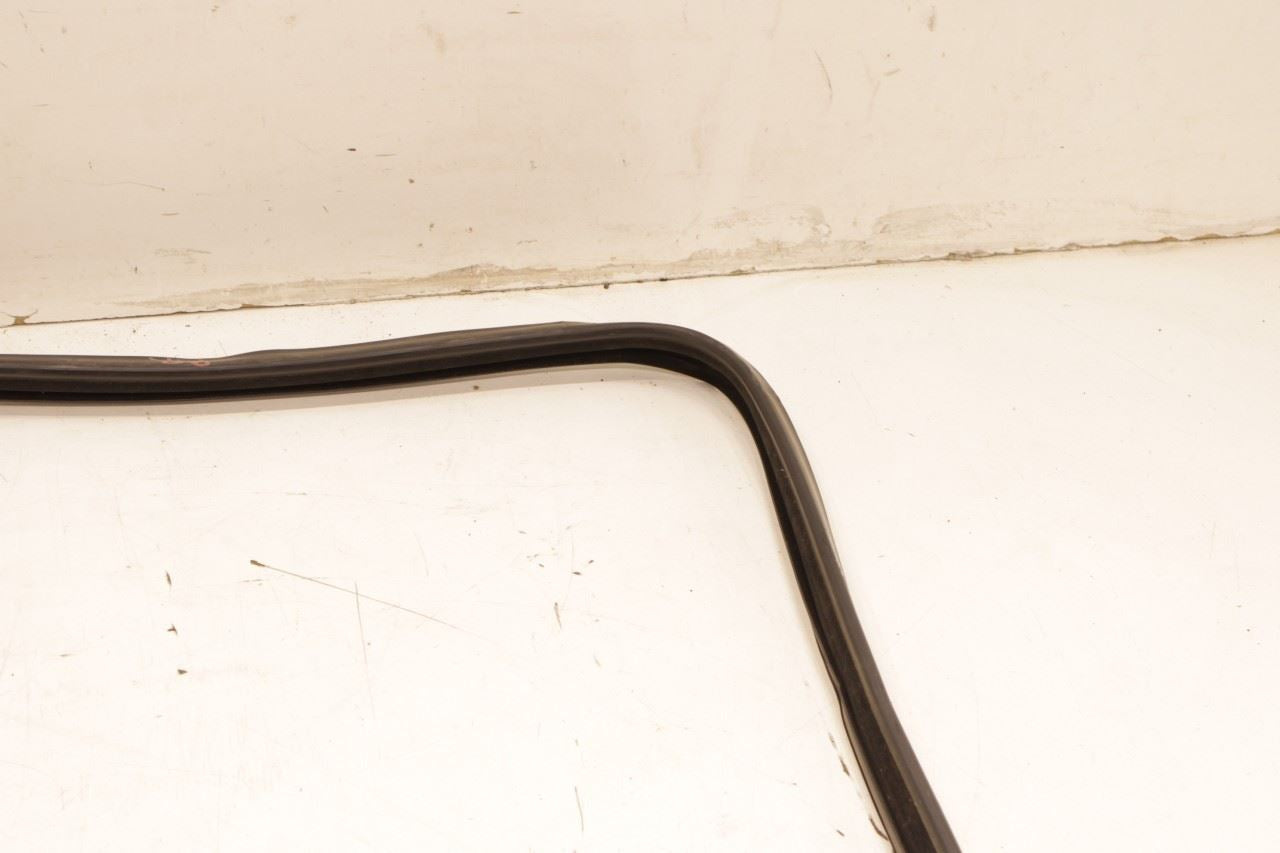 2011-23 RAM 2500 Crew Cab Tradesman RR RH Door Run Channel w/ Belt Weatherstrips - Alshned Auto Parts