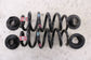 2020-2026 Ford Explorer Interceptor Rear Right and Left Side Coil Spring Set0