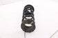 2016-20 Infiniti QX60 Rear Right Passenger and Left Driver Side Coil Spring Set7