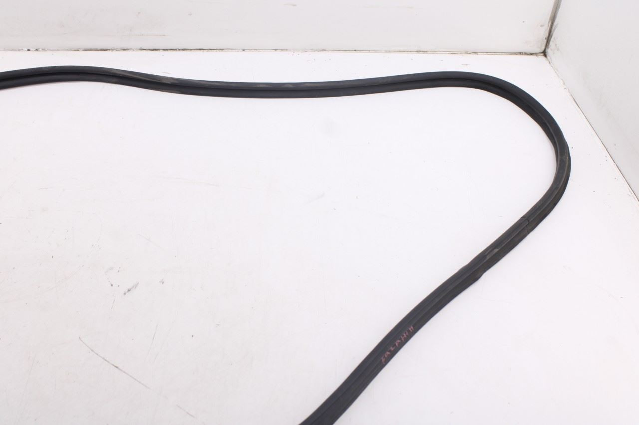 2020-2026 Hyundai Palisade Limited AWD Liftgate Tailgate Back Door Weatherstrip3