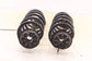 2021-2025 Infiniti QX50 LUXE Rear Right and Left Side Suspension Coil Spring Set - Alshned Auto Parts