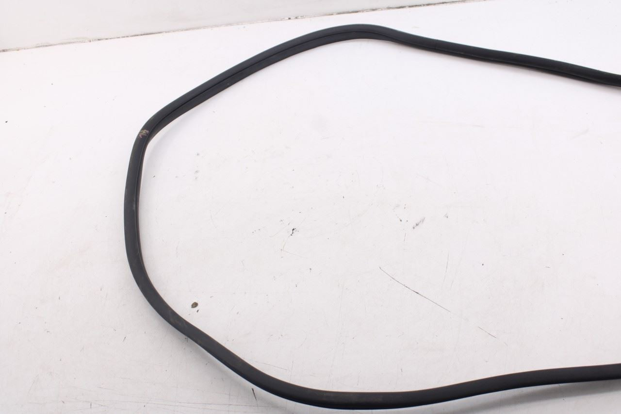 2020-2026 Hyundai Palisade Limited AWD Rear Left Side Door Weatherstrip On Body2
