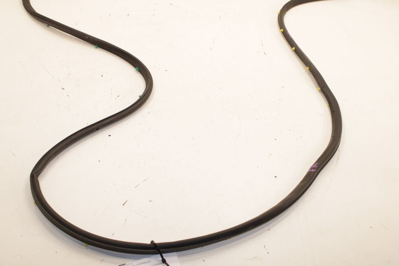 2011-18 Ram 1500 Big Horn Front Right Side Door Mounted Weatherstrip 55112356AE - Alshned Auto Parts