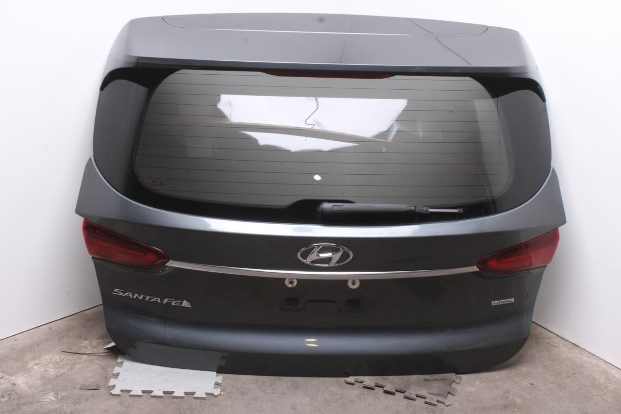 2019-20 Hyundai Santa Fe SEL Tailgate Liftgate Back Door Shell Panel Assy *ReaD* - Alshned Auto Parts